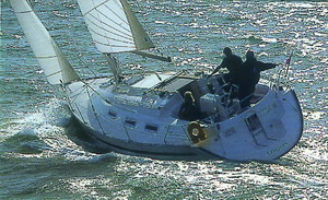 Produktbild Bavaria 36