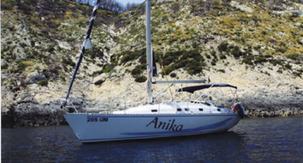 Image du produit Vektor 401